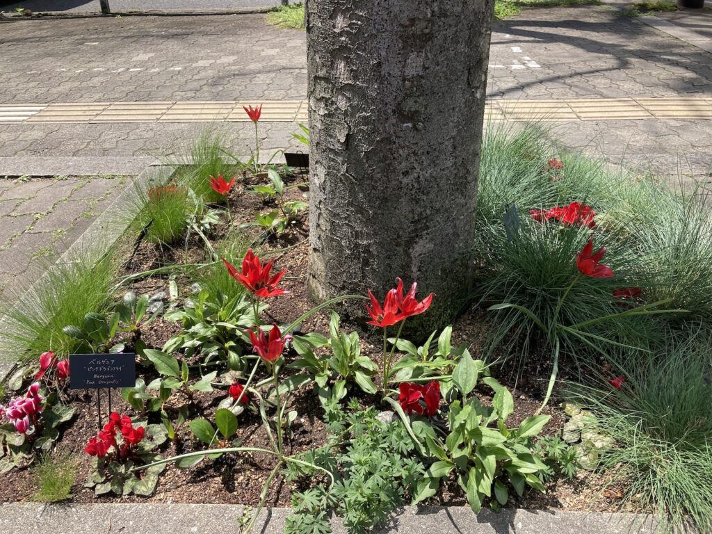 OBP Blooming Place